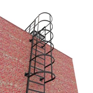 Вертикальная пожарная лестница с ограждением